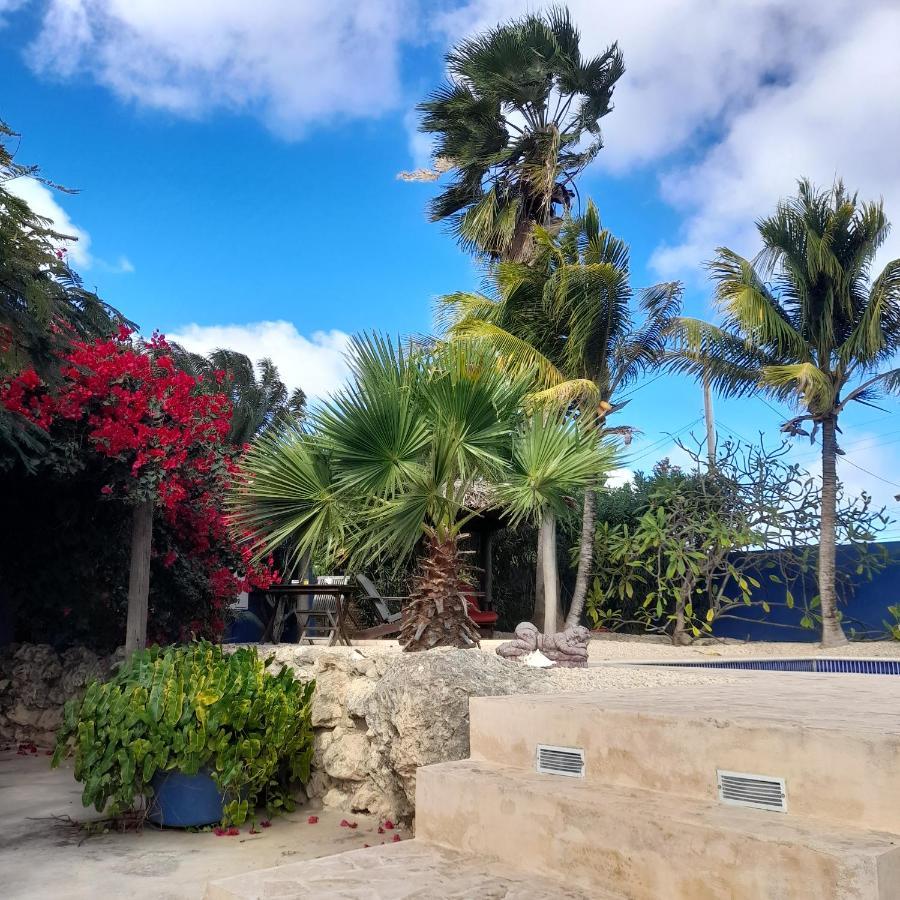 קרלנדיק Caribbean Chillout Apartments מראה חיצוני תמונה