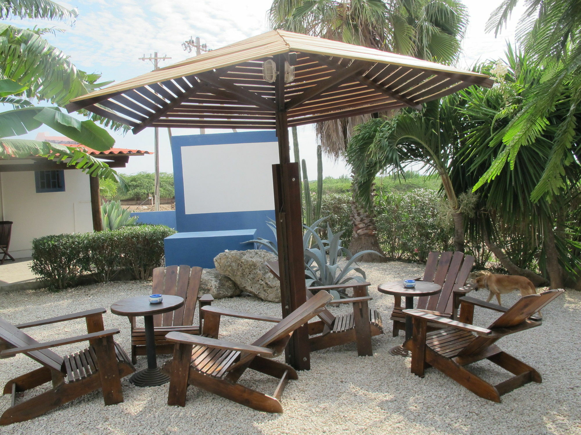 קרלנדיק Caribbean Chillout Apartments מראה חיצוני תמונה