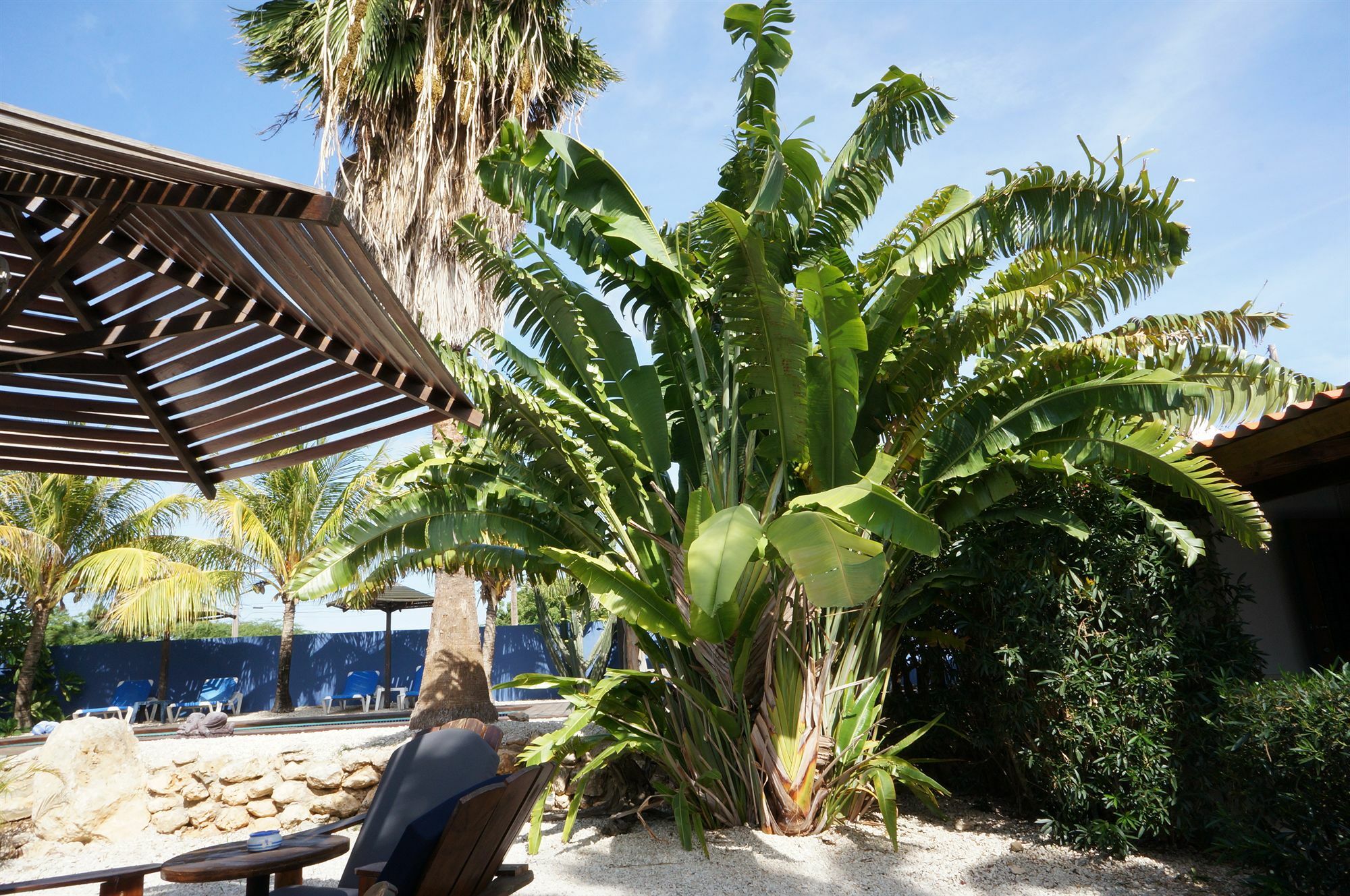 קרלנדיק Caribbean Chillout Apartments מראה חיצוני תמונה
